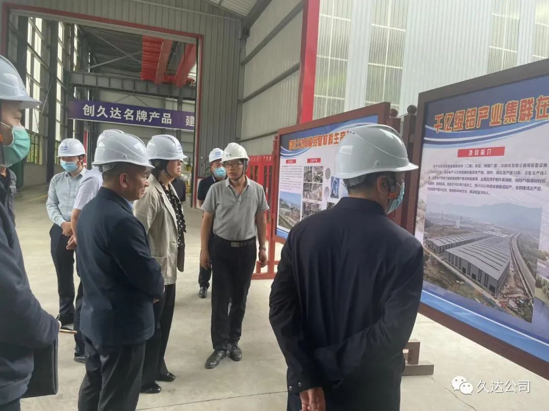 省经信厅冯锦花副厅长调研122cc太阳集成游戏新材2